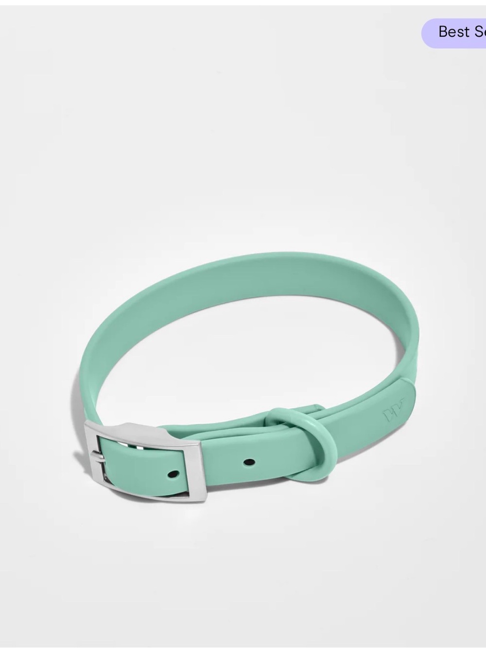 Wild One Seafoam Waterproof Dog Collar